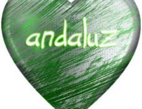 Vídeo sobre Andalucía y en defensa del andaluz (4º PDC)