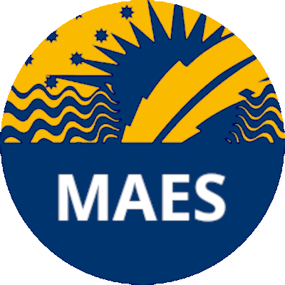 Logo MAES